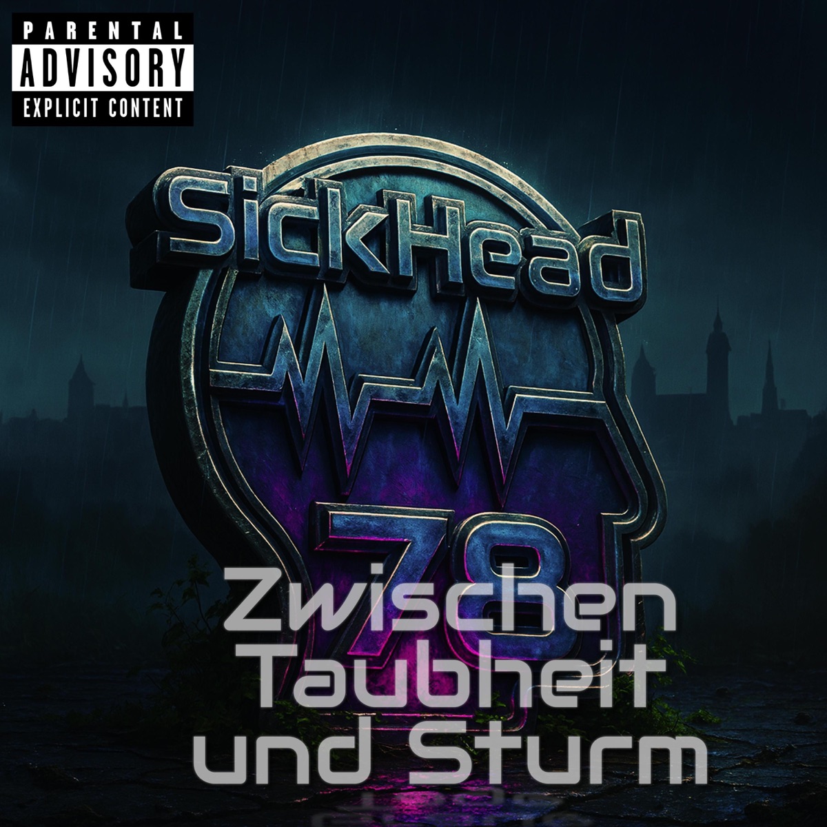 Cover von Zwischen Taubheit und Sturm